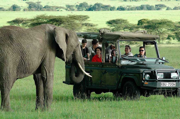 11 Day Luxury Kenya and Uganda Gorilla Safari Tour