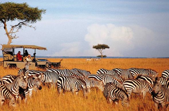 22 days Best of Kenya wildlife budget safari