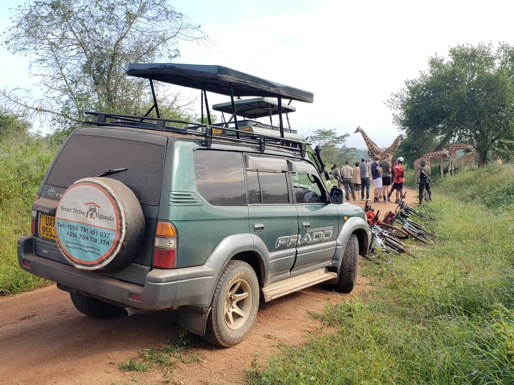 Long term car rental Kenya